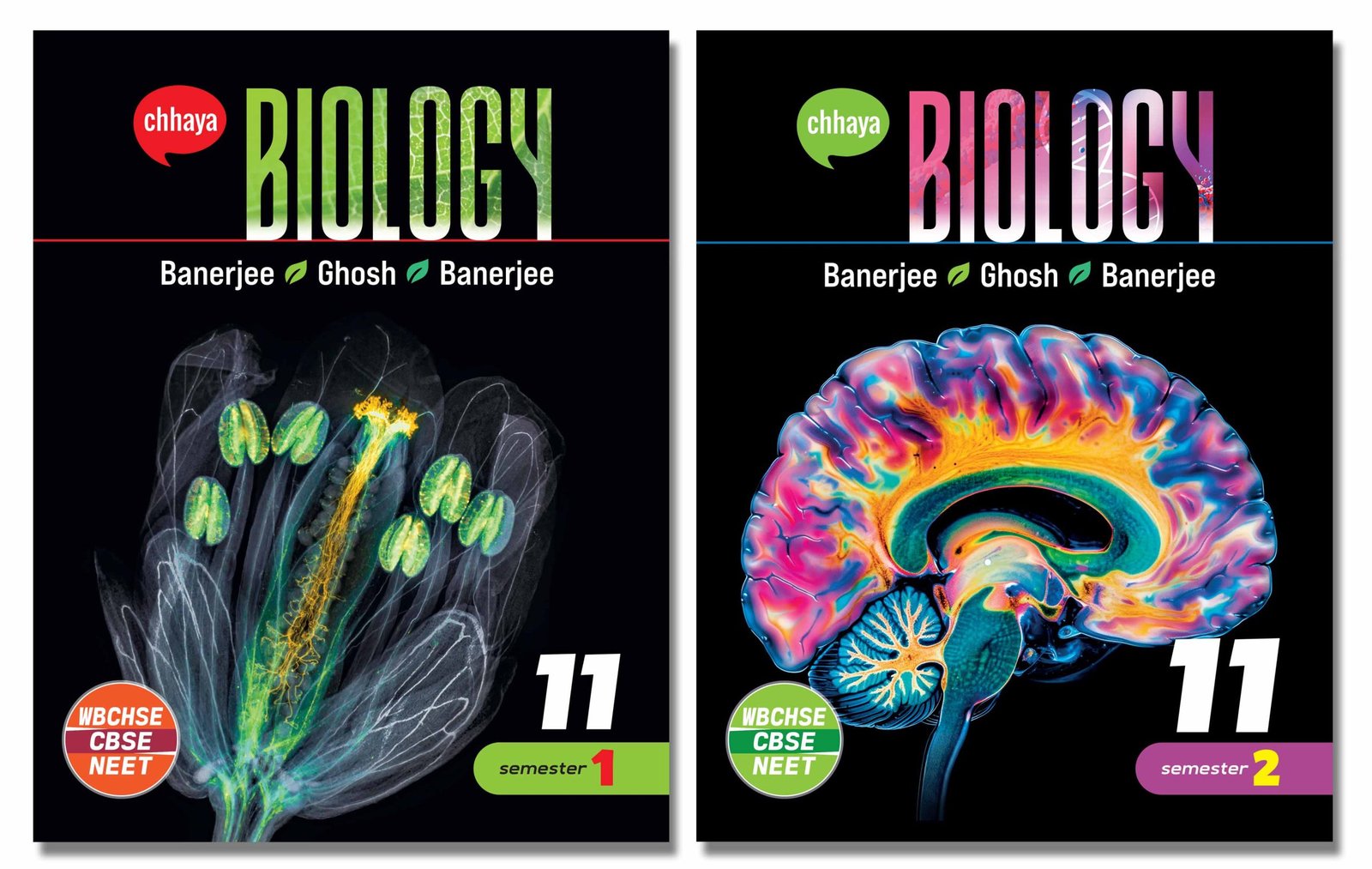 11-biology-sem-12-Eng-Version-scaled (1).jpg